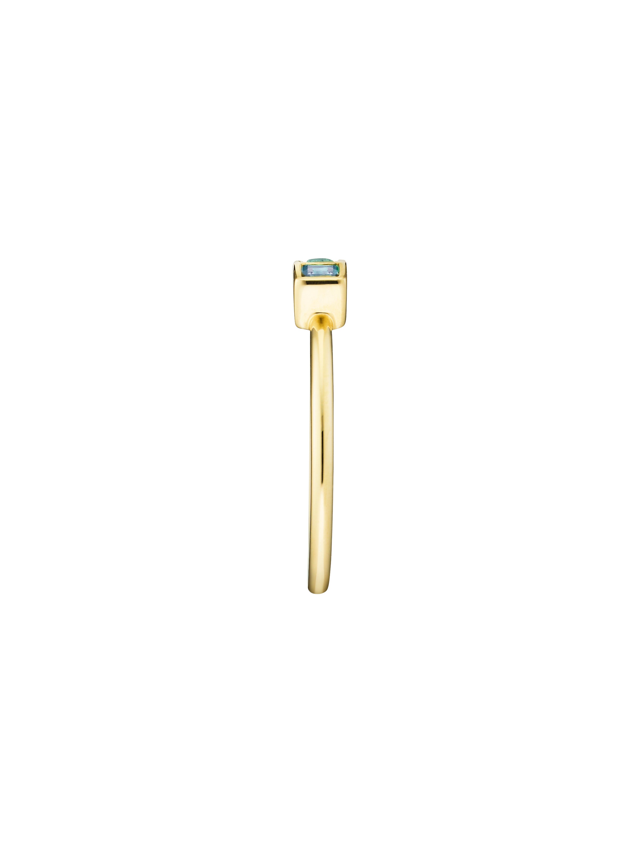 EVA RING
